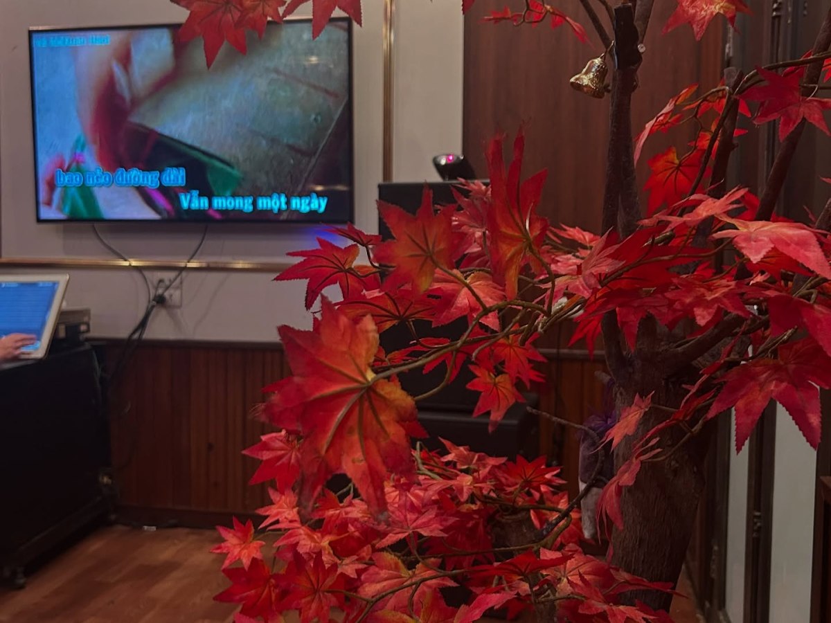 Mùa Thu Tình Của Em&nbsp;(Viet-English)